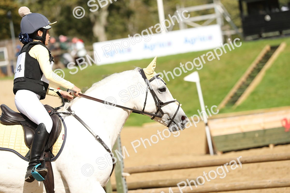 SBM_23184_E9 - Eventers Challenge 60cm Challenge - Paula Gray