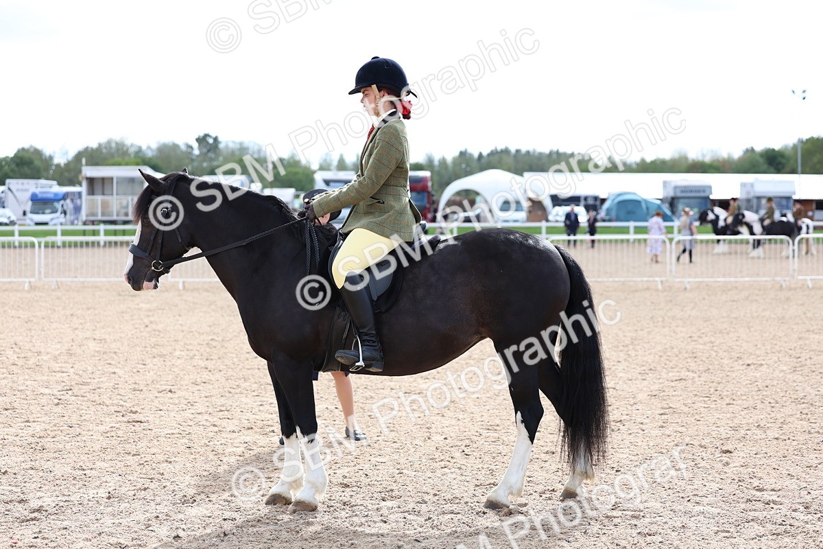 SBM_15828 - Class 314 - Family Horse - Pony