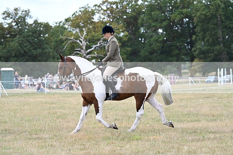WJ7_4976 - Class 12 Ridden Cob