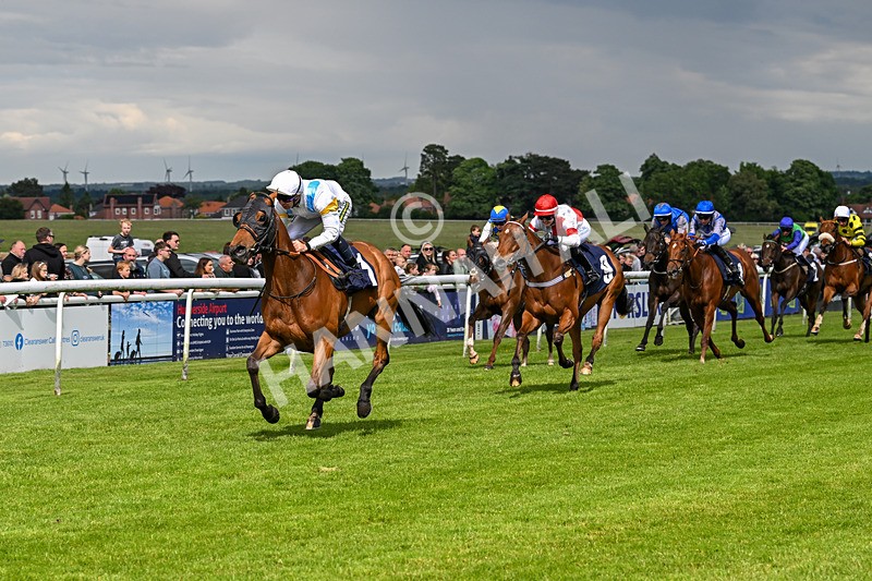 290524-Race 5-Distinction-6456 - Race 5