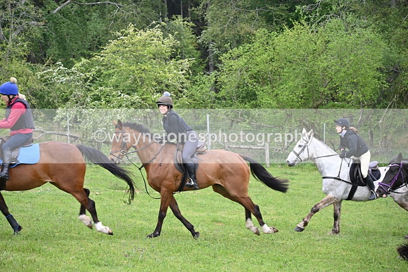 WJ6_2482 - A Camera