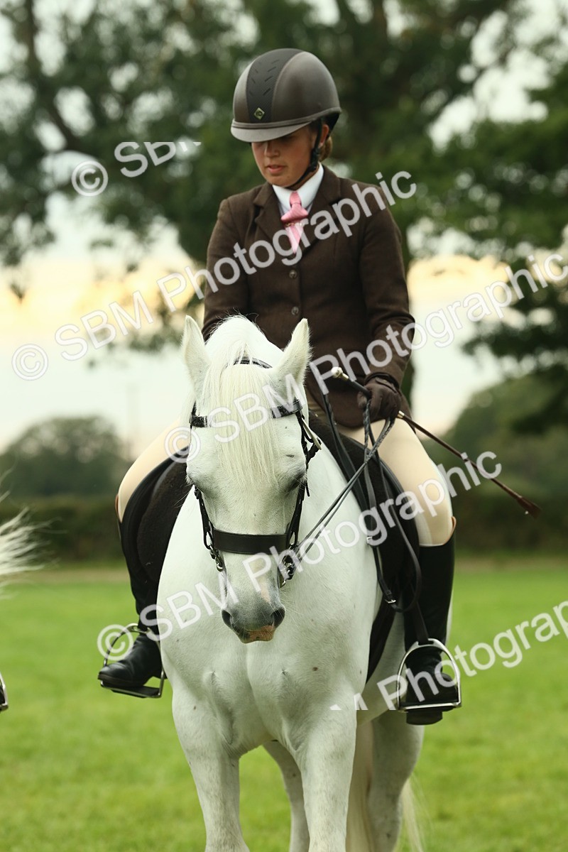 SBM_72268 - S60 - Mountain & Moorland Ridden Large Breeds