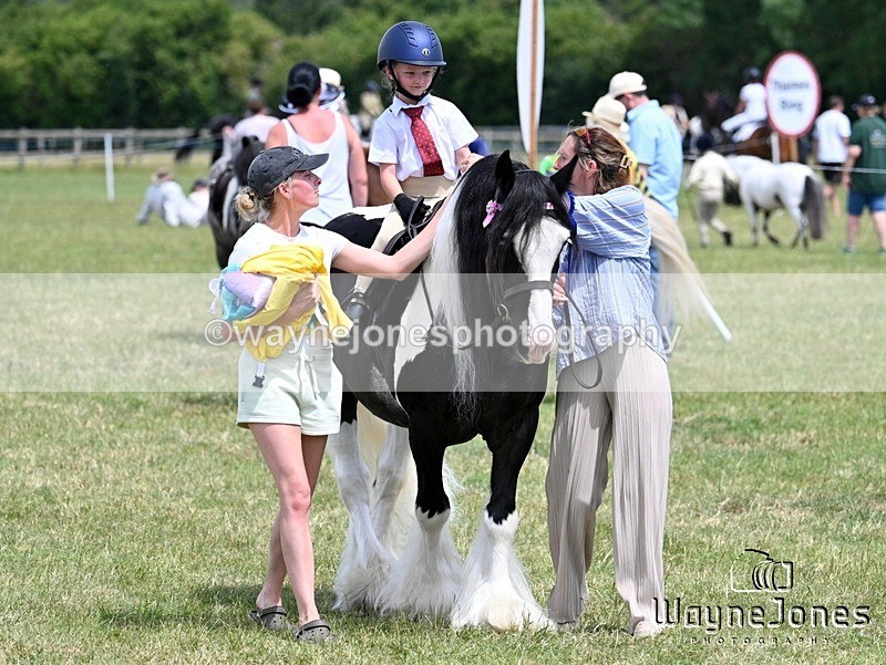 WJ7_8332 - Nancy And Churchill SORC summer show 21-06-26