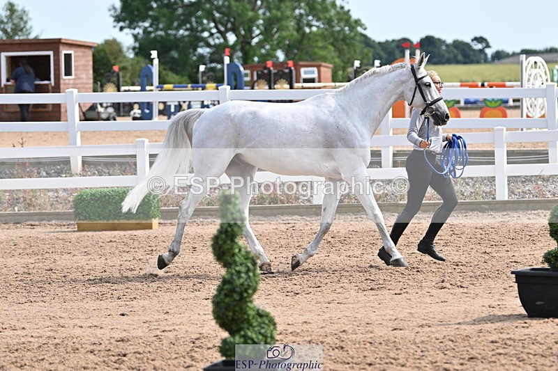 240717A-161408-03363 - Trot Up 4pm to 5pm