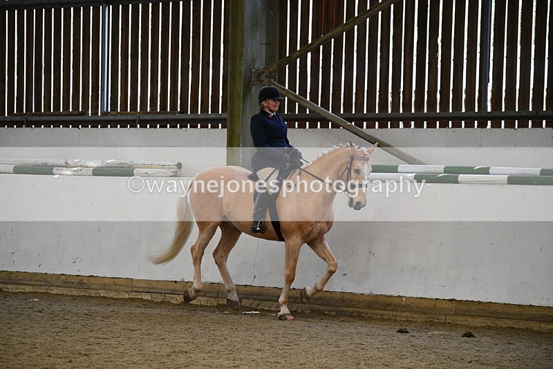 WJ5_5977 - Class 9 Ridden Veteran