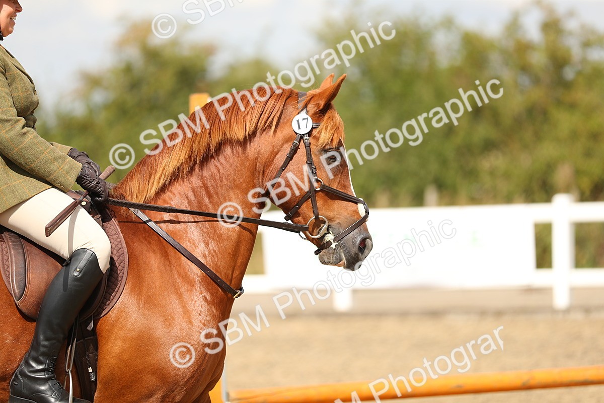 SBM_04823 - Class 47a Style & Performance 60cm (15-19)