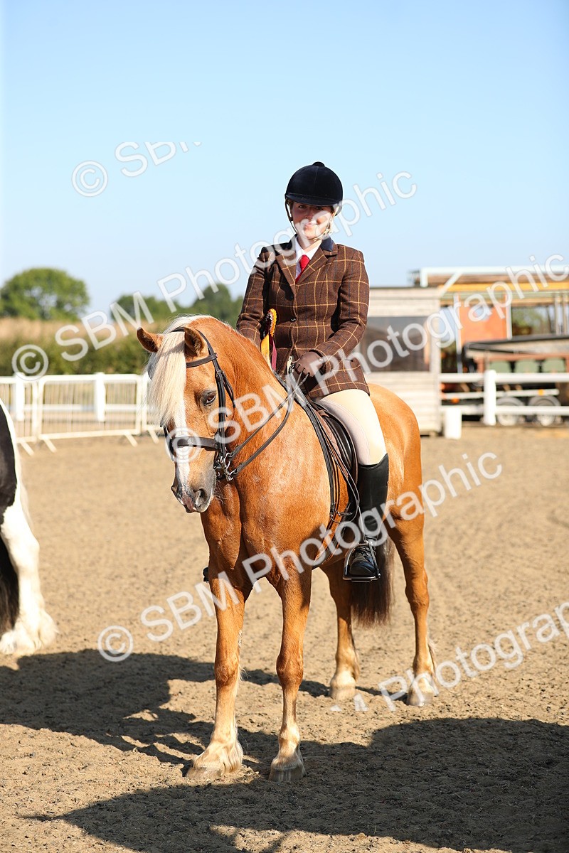SBM_01239 - Class 42 Ridden Veteran