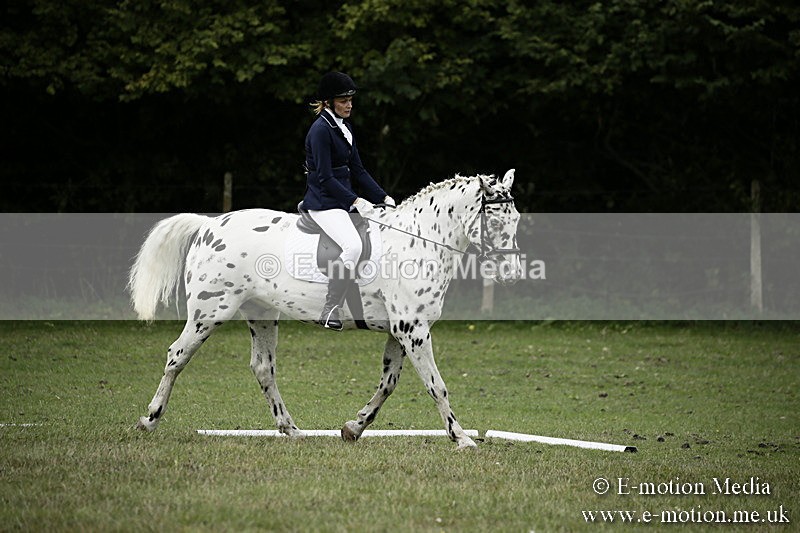 BVR080918 107 - BVRC Novice Dressage & CR 08/09/18