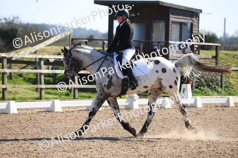 20260318-0485 - Class 5 - Novice 2