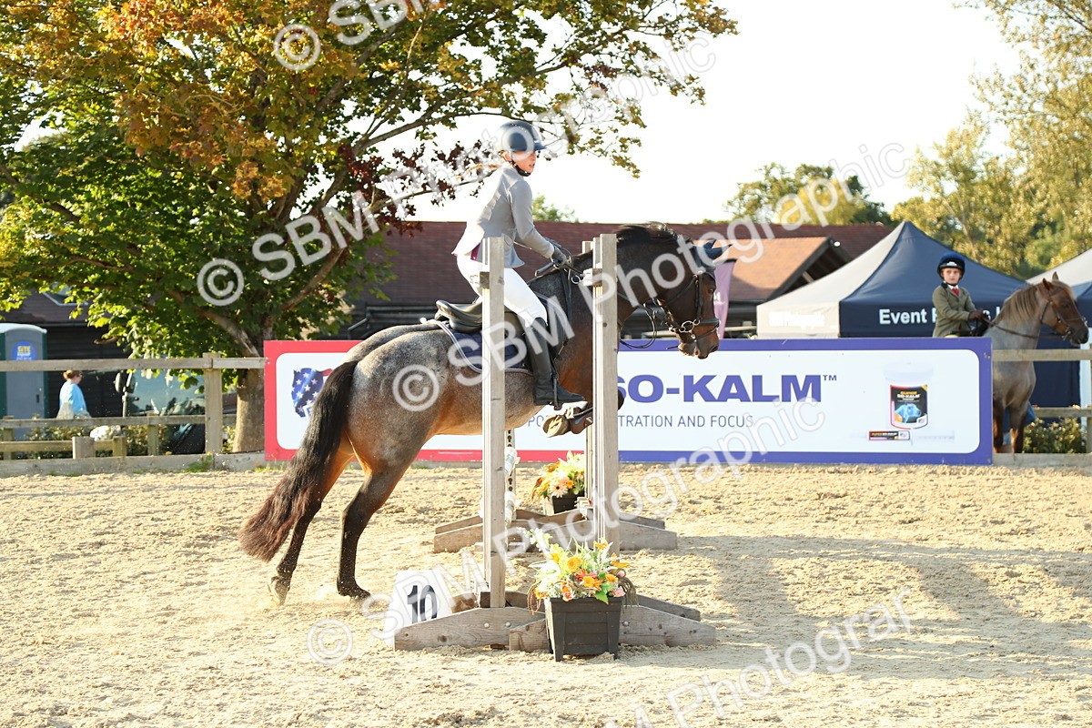 SBM_53842 - J8 - Junior Pony 65cm Championship