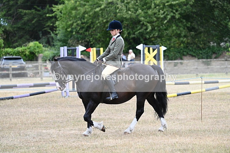 WJ7_0462 - Class 6 Ridden Mountain and Moorland