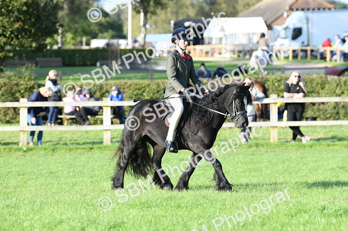 SBM_54079 - S23 - 1st Ridden Mountain & Moorland Pony