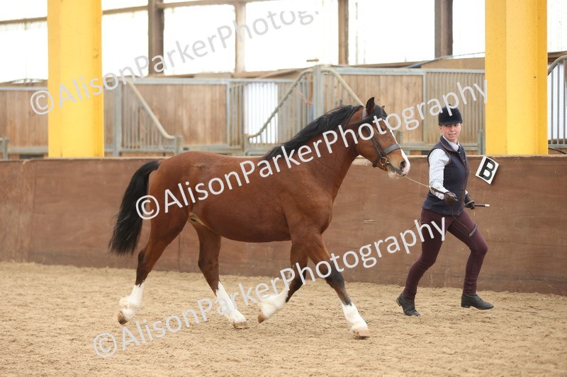 20251109-0907 - Class 26 - 2 and 4 Year Olds