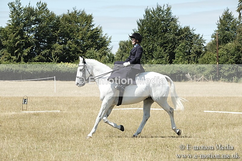 _PJP5954 - Dressage Classes BVRC Show 2018