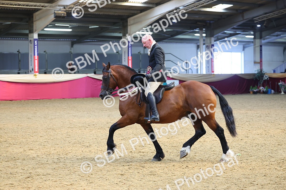 SBM_24714 - Class 906 - Supreme Final - Ridden Pre Vet