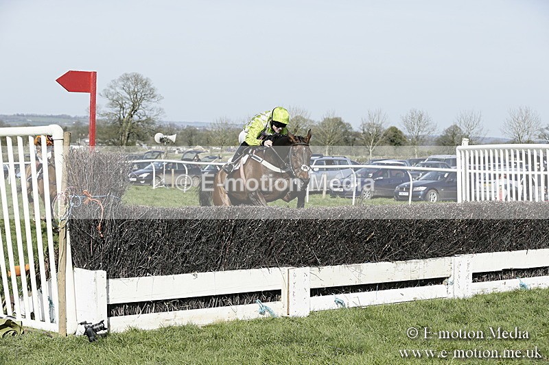 PtP 260317 280 - Mendip Farmers Point-to-Point Ston Easton 26/03/17