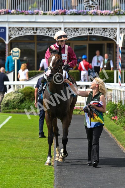 130625-Race 3-Easy Peeler-9104 - Race 3 3.00pm British EBF Supporting Racing With Pride Fillies' Handicap