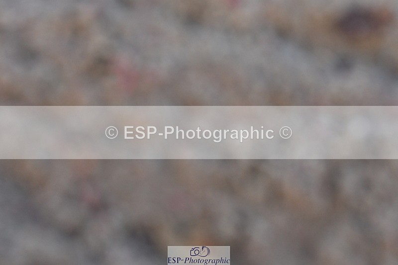 231104A-143948-00874 - Cls 18 FEI PSG