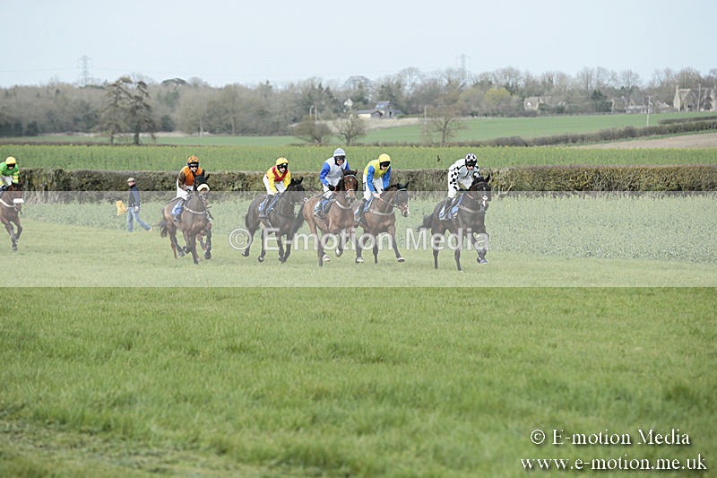 PtP 230319 232 - VWH Hunt Siddington Point-to-Point Racing 23/03/19