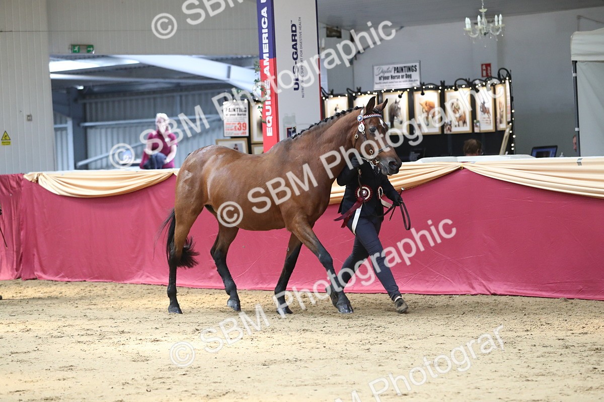 SBM_04505 - Class 7R Regional - IH Diamond