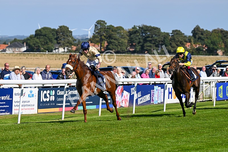 180924-Race 2-American Style-3949