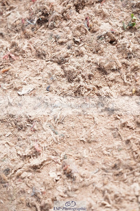 250511-153622-14742 - Cls 35 1.10m Amateur Quali and Open