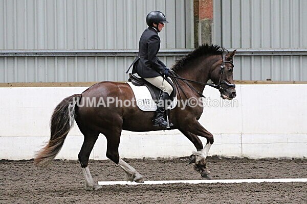 SIAL4665 - CAbin Dressage 5th july 2025