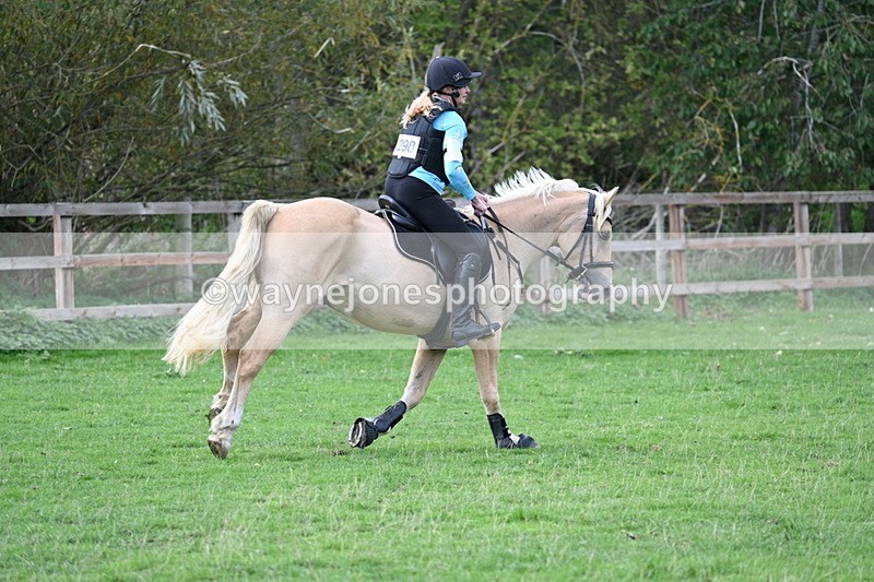 WJ7_0799 - Time 14:27 to 15:11