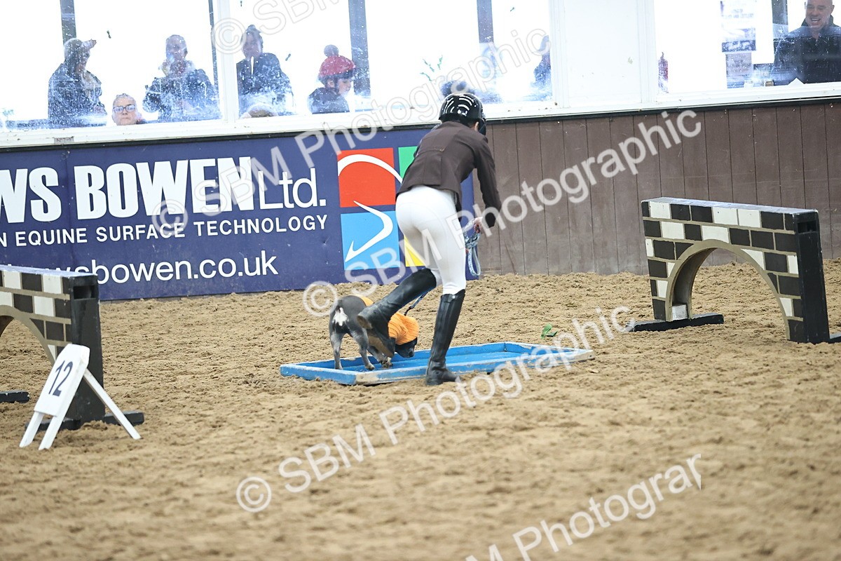 SBM_001195 - Class 3 - Horse & Hound 60cm