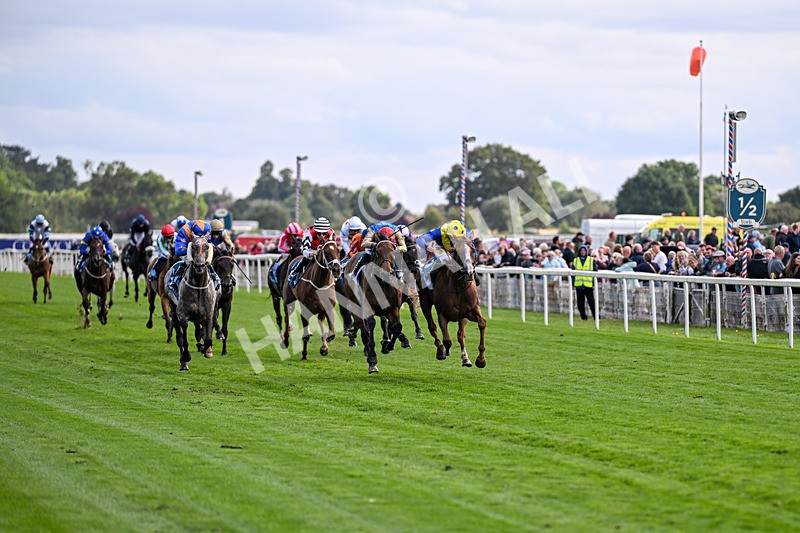 210826-Race 5-Plage De Havre-6718 - Race 5 16.10pm Assured Data Protection Handicap
