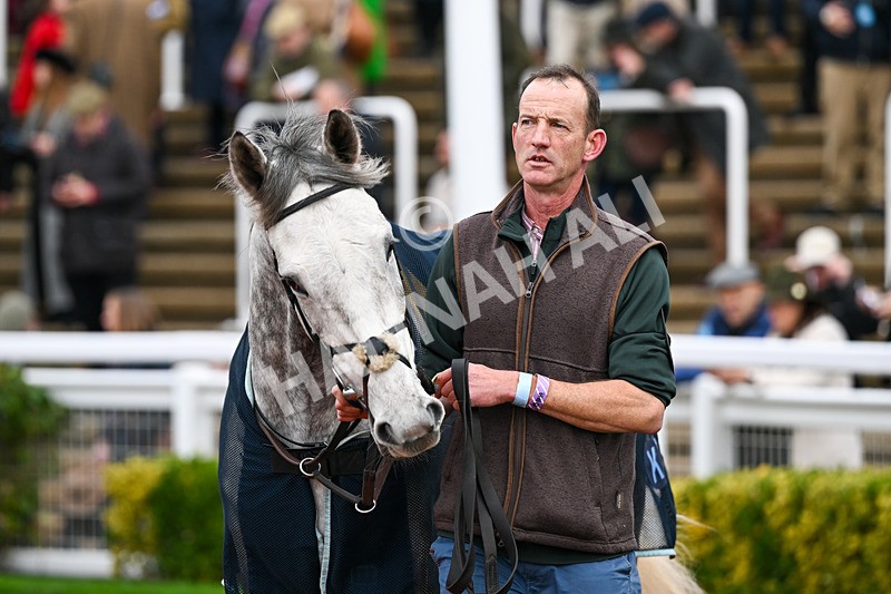 151125-Race 1-Kasper Hauser-1894 - Race 1