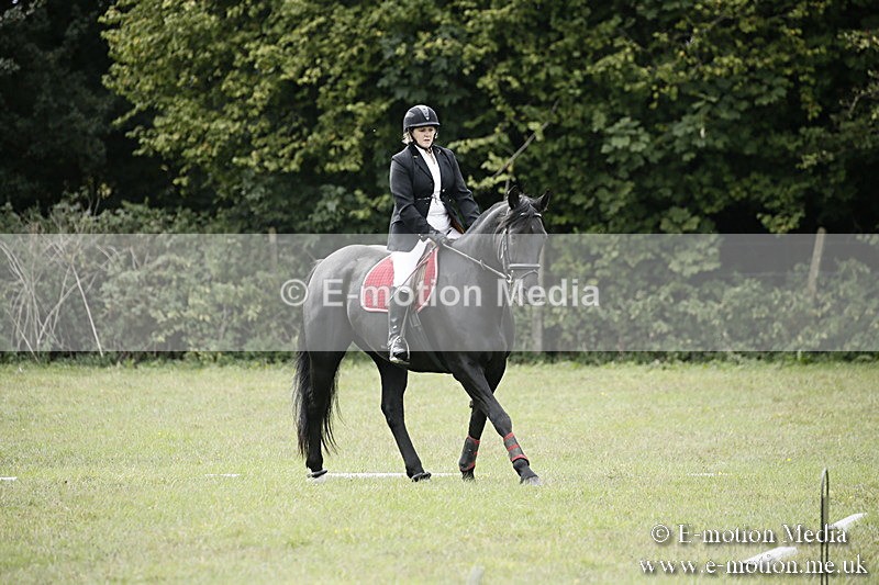 BVR080918 188 - BVRC Novice Dressage & CR 08/09/18