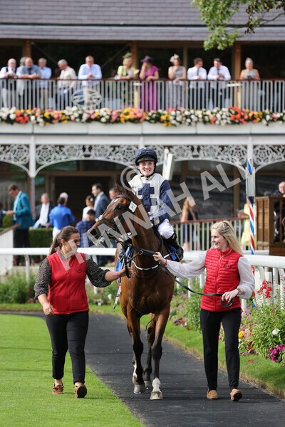 yr19082021r6-24 - Race 6 4.45pm British EBF & Sir Henry Cecil Galtres Stakes