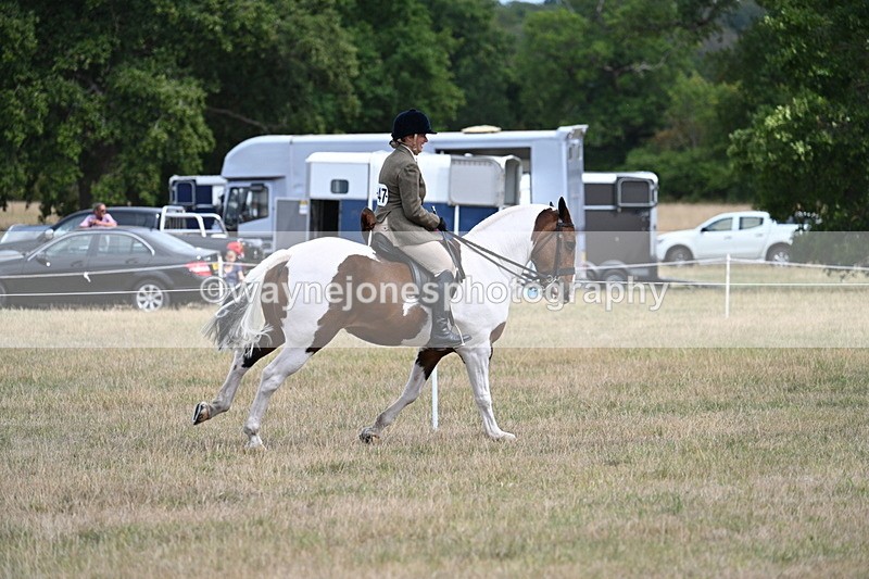 WJ7_5597 - Class 12 Ridden Cob