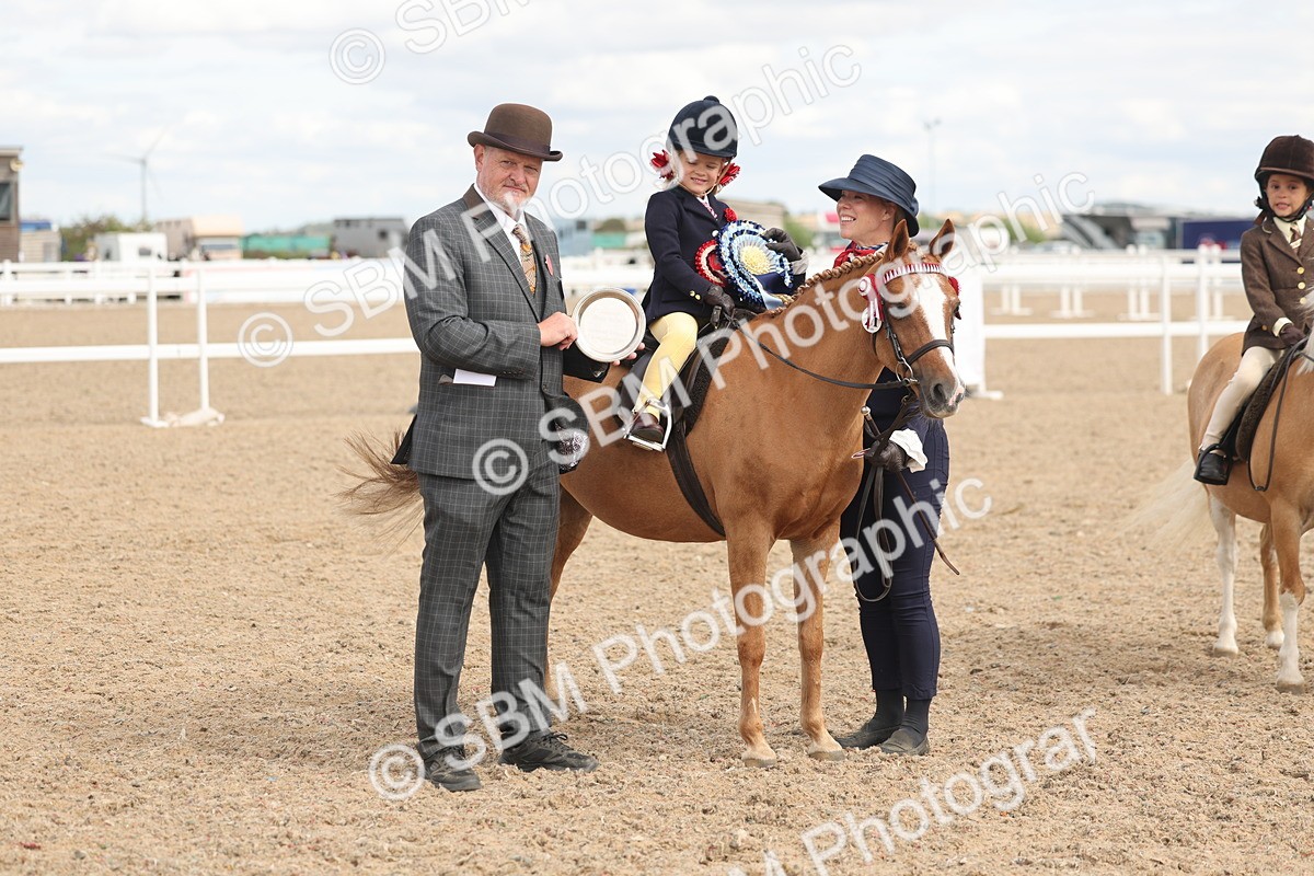 SBM_15824 - Class 309 - Lead Rein Pony