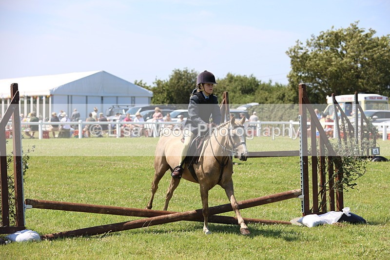 JPP_2198 - Class 20: Tiny Tots Working Hunter Pony