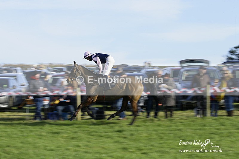 PtP 300122 173 - South Dorset Hunt - Point-to-Point Races 30/01/2022