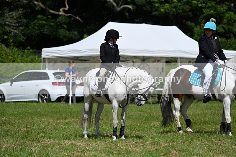WJ7_1739 - Class 9 Pony Club Pony