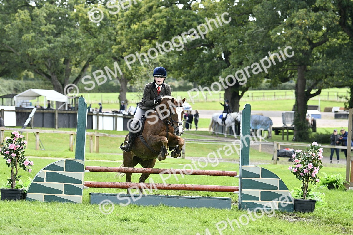 SBM_45650 - S33 - Working Hunter Pony