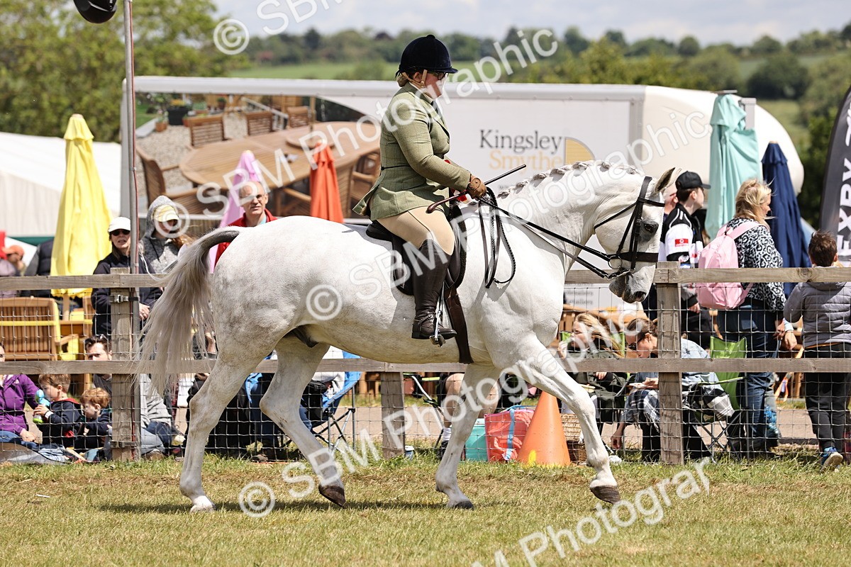 SBM_14783 - Class 88-89 - LIHS BSHA Rising Star of Ridden Hunter Type