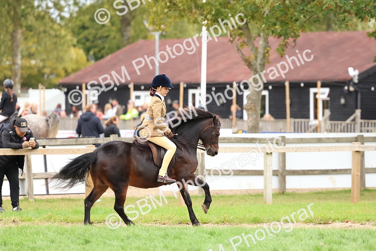 SBM_67430 - S61 - Mountain & Moorland Ridden