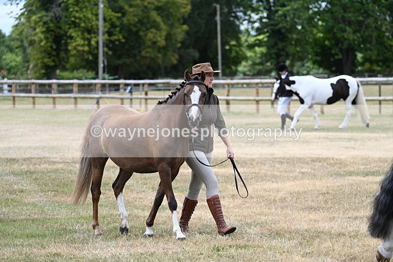 WJ7_1444 - Class 4 Prettiest Mare up to 14.2hh in hand
