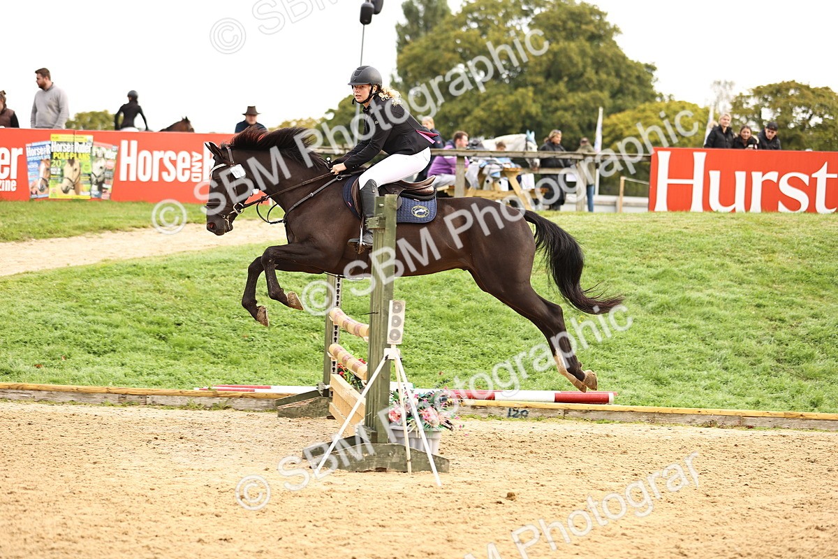 SBM_58476 - J41 - Grand Tour Horse & Pony 95cm