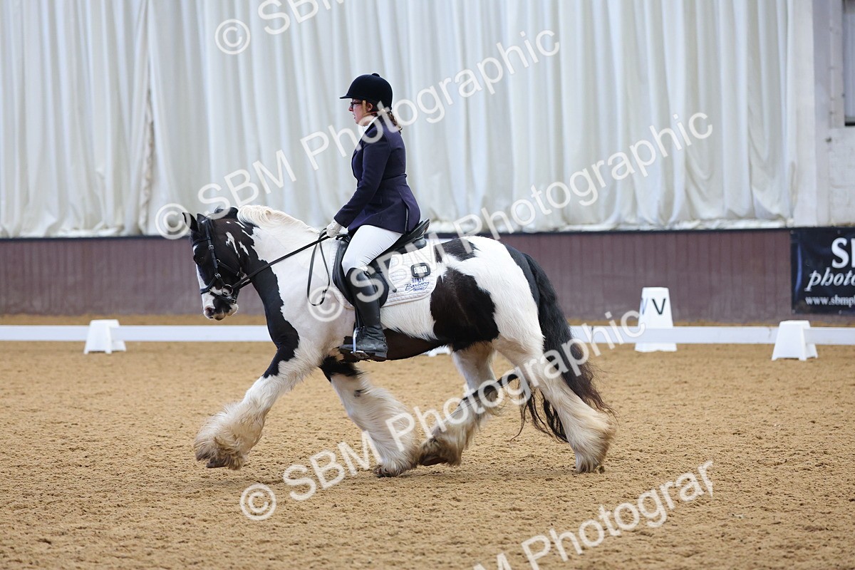 1I0A8817 - Class 4 - Novice 4