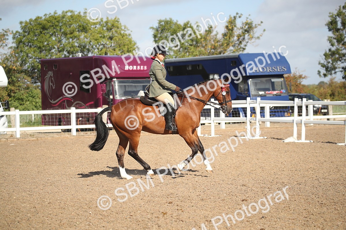 SBM_22712 - Class 601 - 2026 - Area - Ridden Diamond