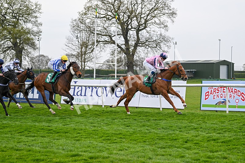 120425-Race 4-Alzahir-1169 - Race 4