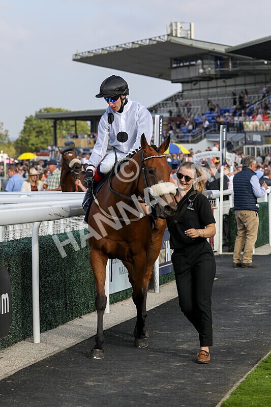 310824-Race 7-Zapphire-2168 - Race 7