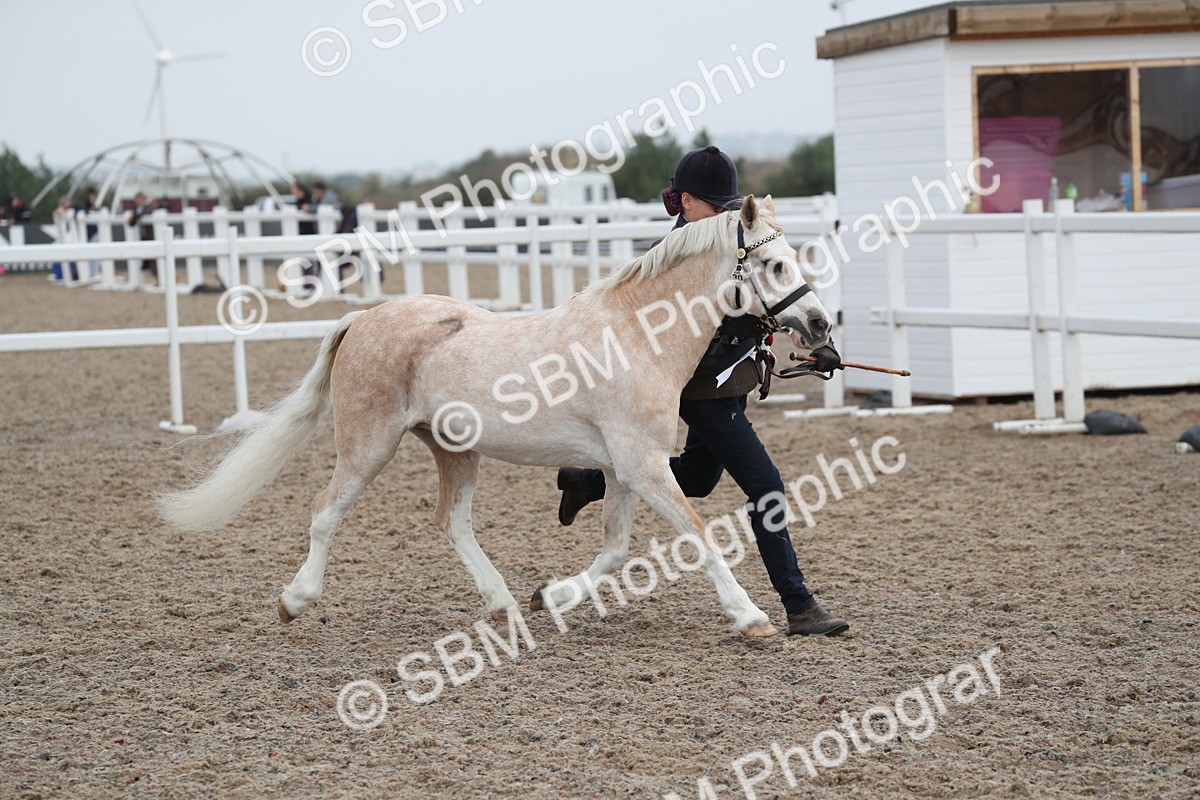 SBM_22604 - Class 604 - 2025 Area - IH Diamond