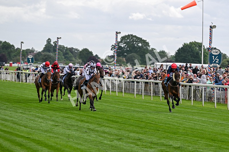 130626-Race 1-Dunkeld Dreamer-0514 - Race 1 13.50pm Queen Mother's Cup Handicap