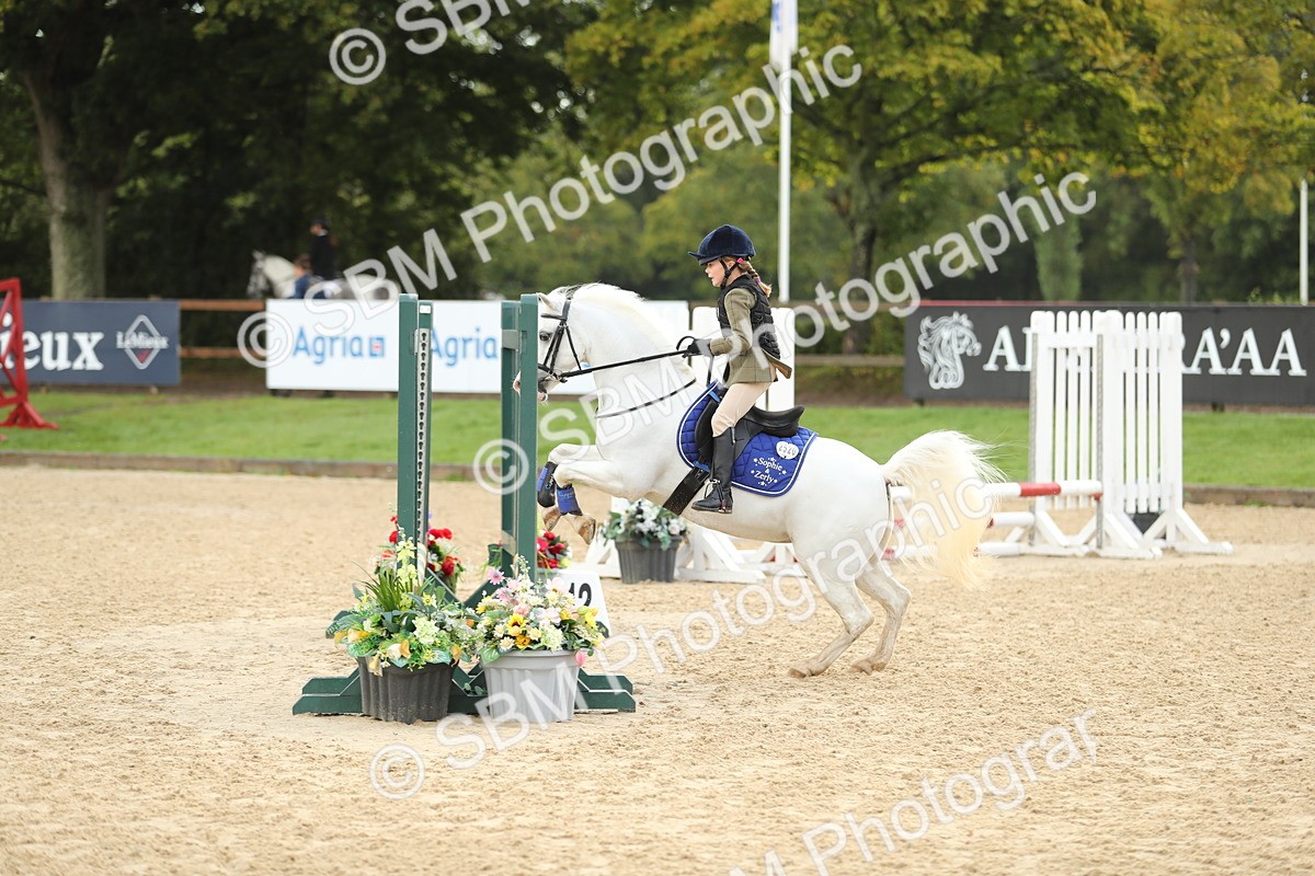 SBM_34197 - J60 Clear Round 50cm